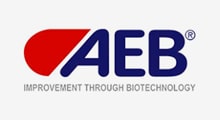 AEB